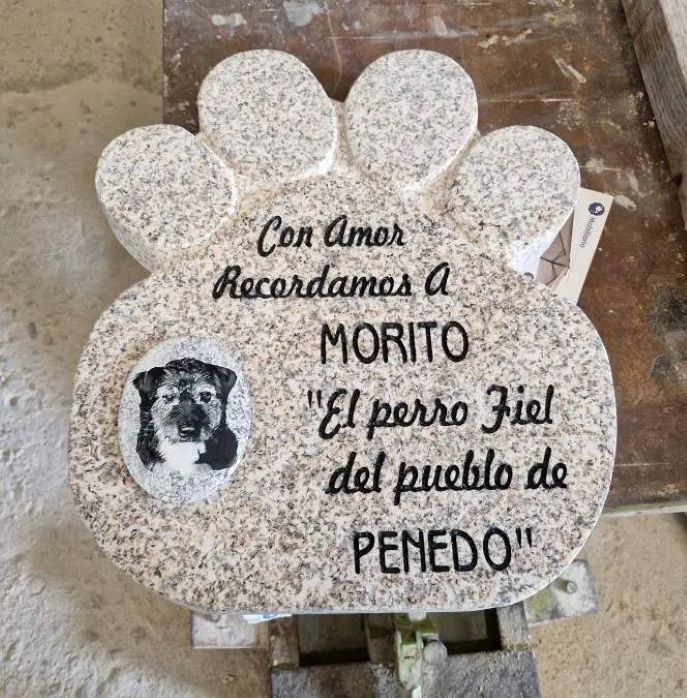 Lápida en forma de huella de Mascota en Granito